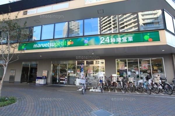 ウエリスアーバン品川タワーの物件内観写真