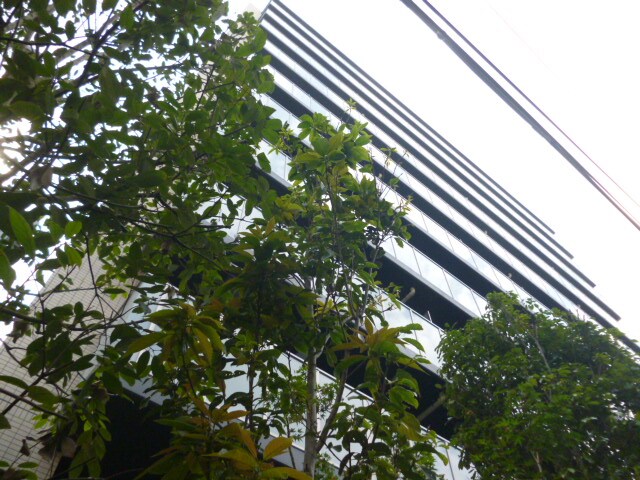 パークハビオ赤坂の物件内観写真