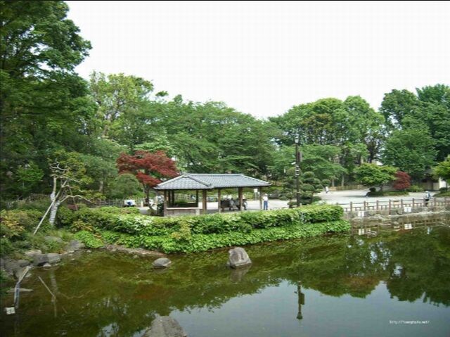 カスタリア戸越の物件内観写真