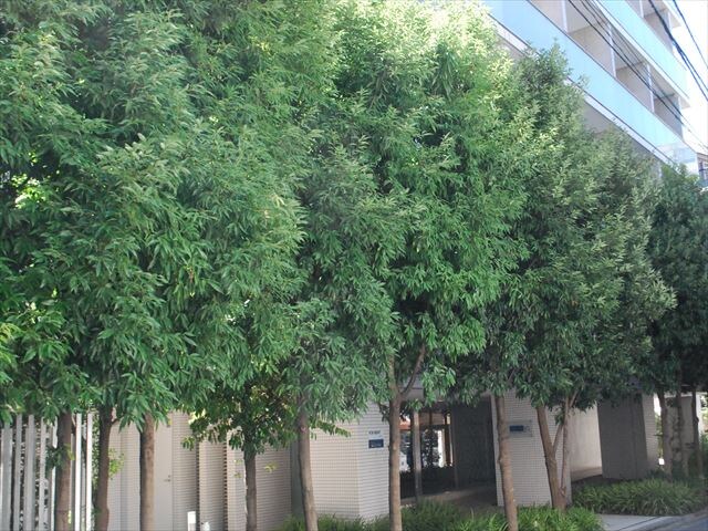 アジリア南麻布J'sの物件内観写真