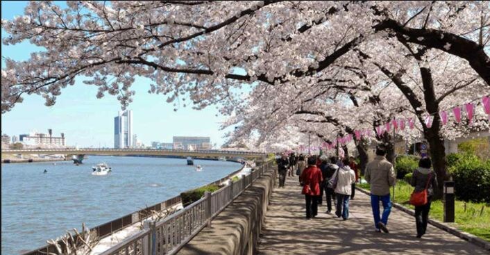 パークアクシス押上レジデンスの物件内観写真