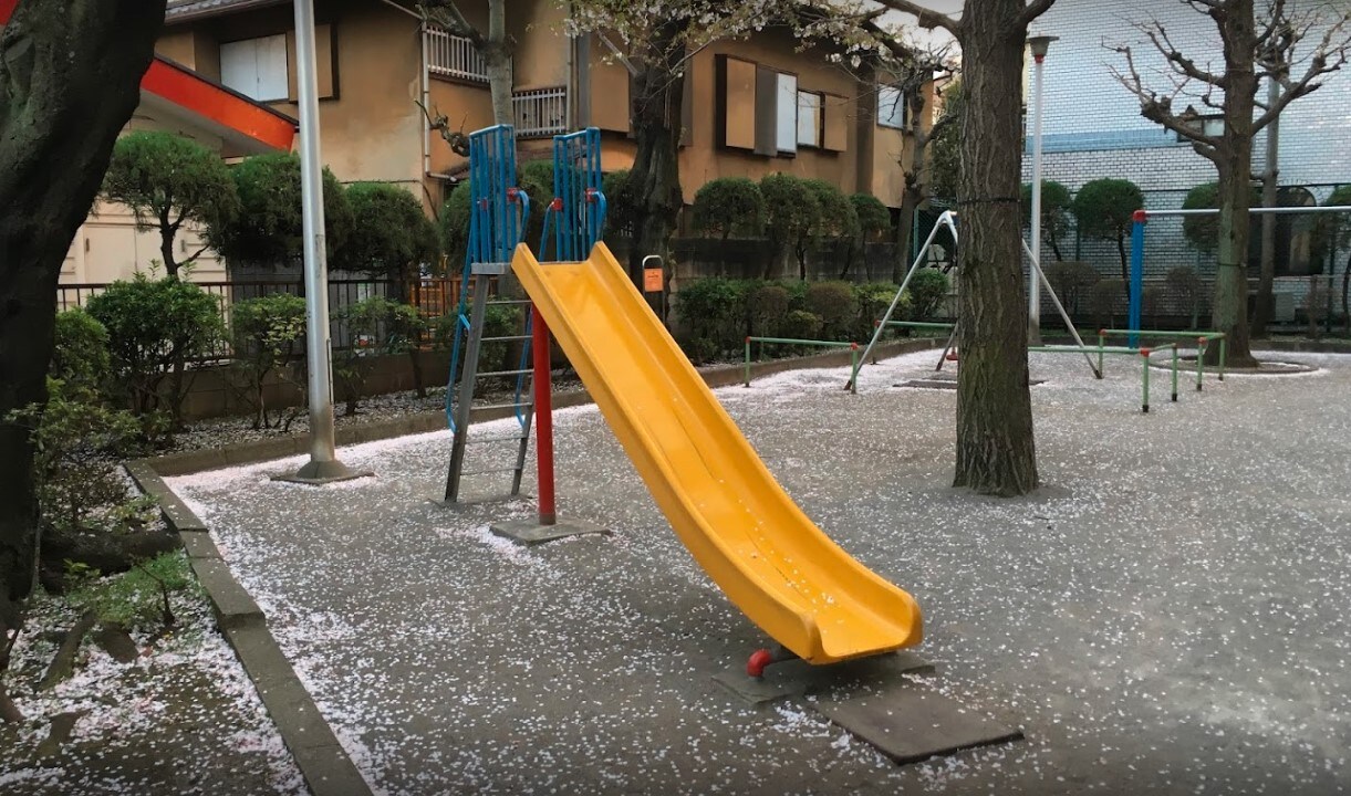 ステージグランデ台東根岸アジールコートの物件内観写真