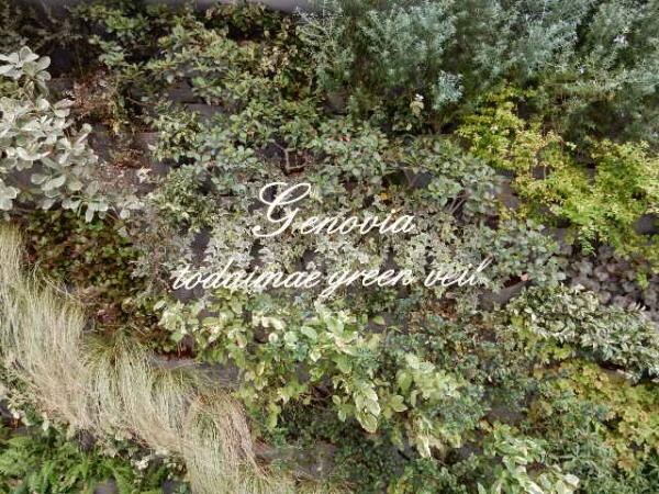 ジェノヴィア東大前グリーンヴェールの物件内観写真