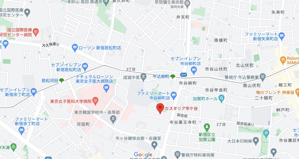 カスタリア市ヶ谷の物件内観写真