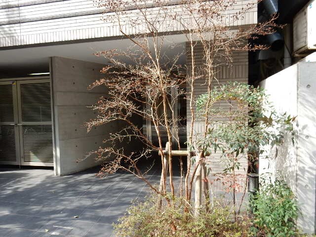 麹町二番町マンションの物件内観写真