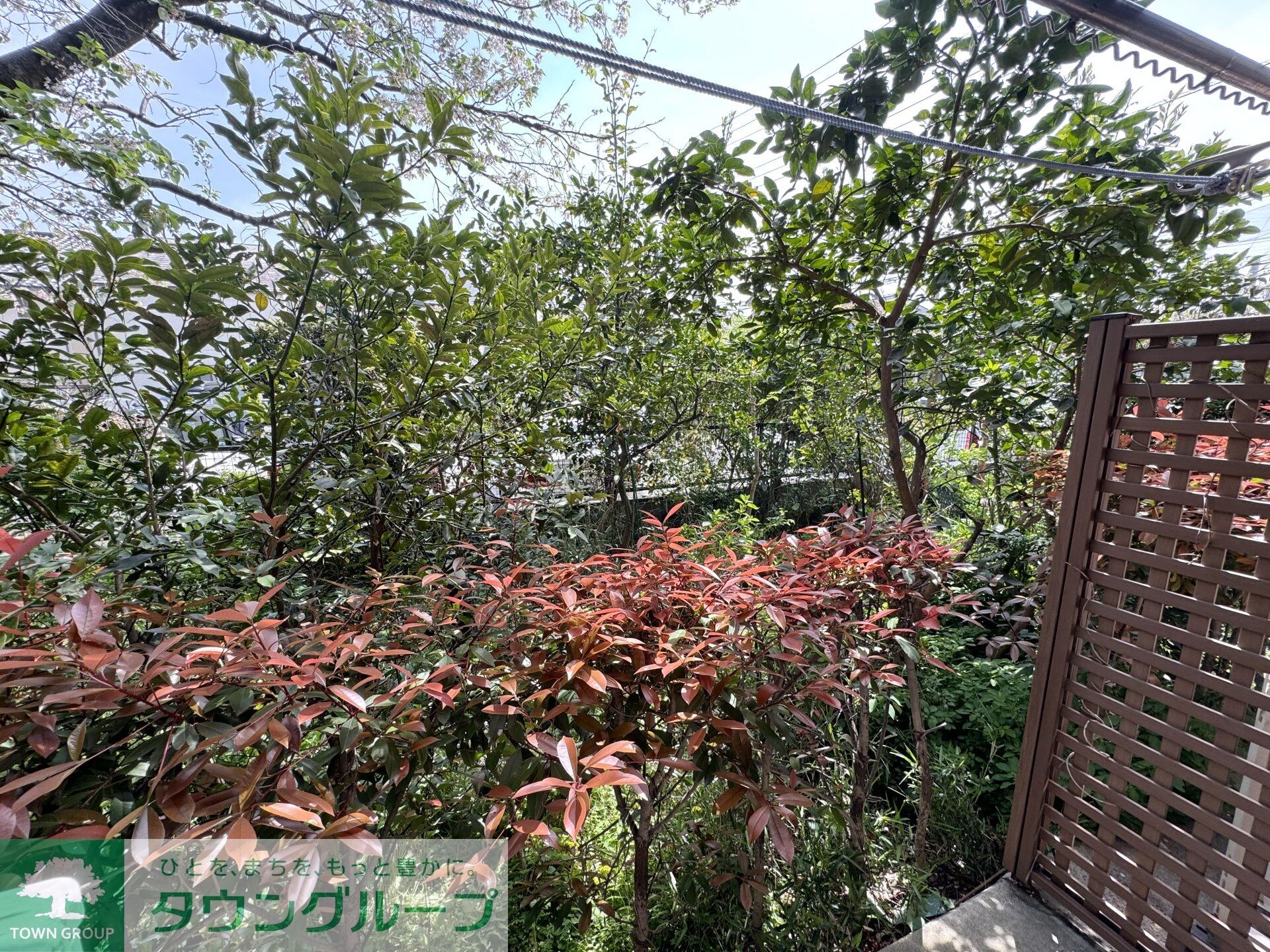 桜コート早宮の物件内観写真