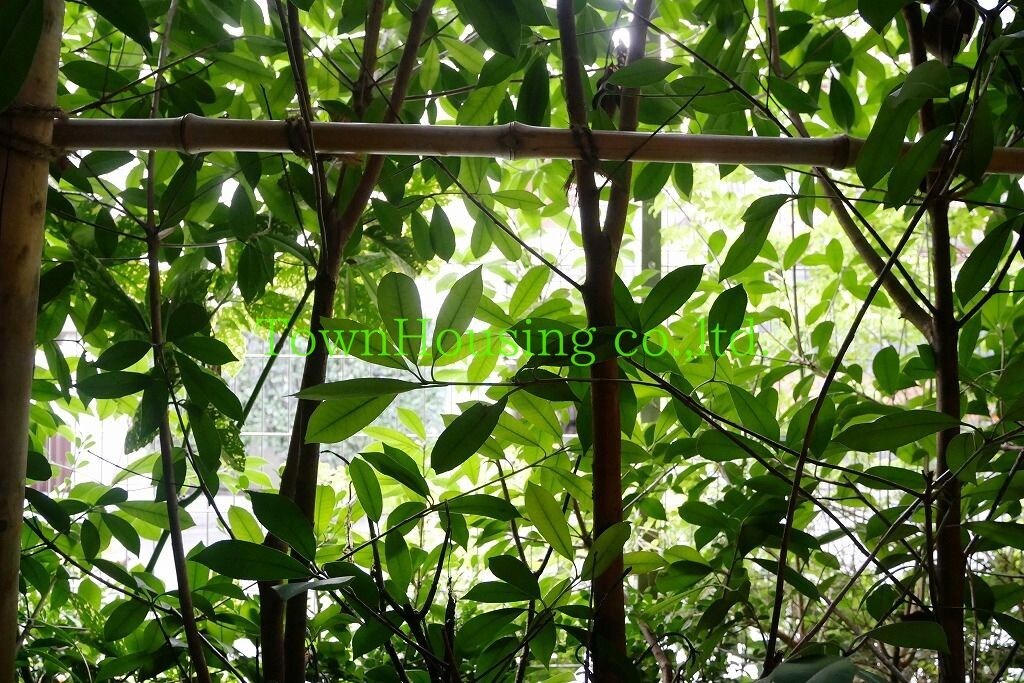 ケリア西馬込アジールコートの物件内観写真