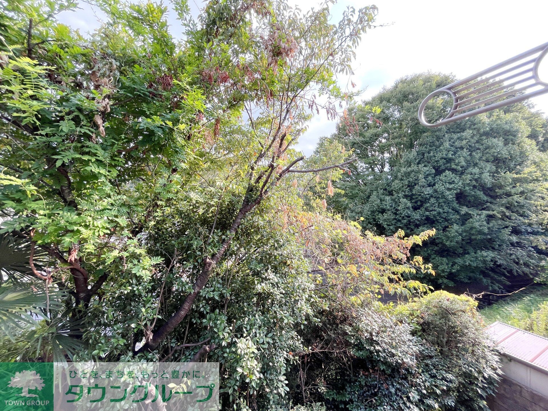 ラカーサフェリーチェの物件内観写真