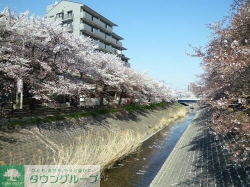 クレストパルの物件内観写真