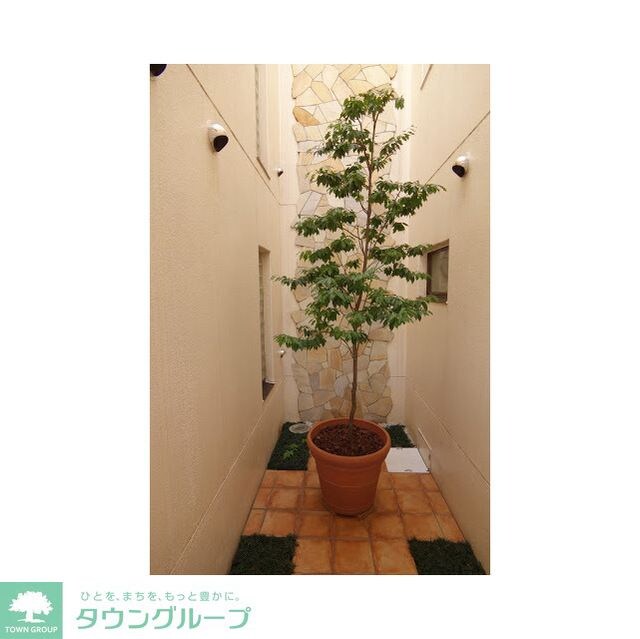 マリンコートの物件内観写真