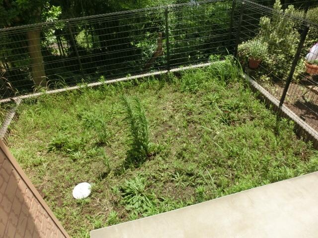 ブルーラグーンの物件内観写真