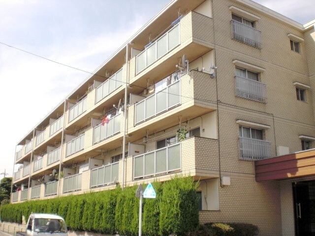 ジュノー・ムカイの物件内観写真