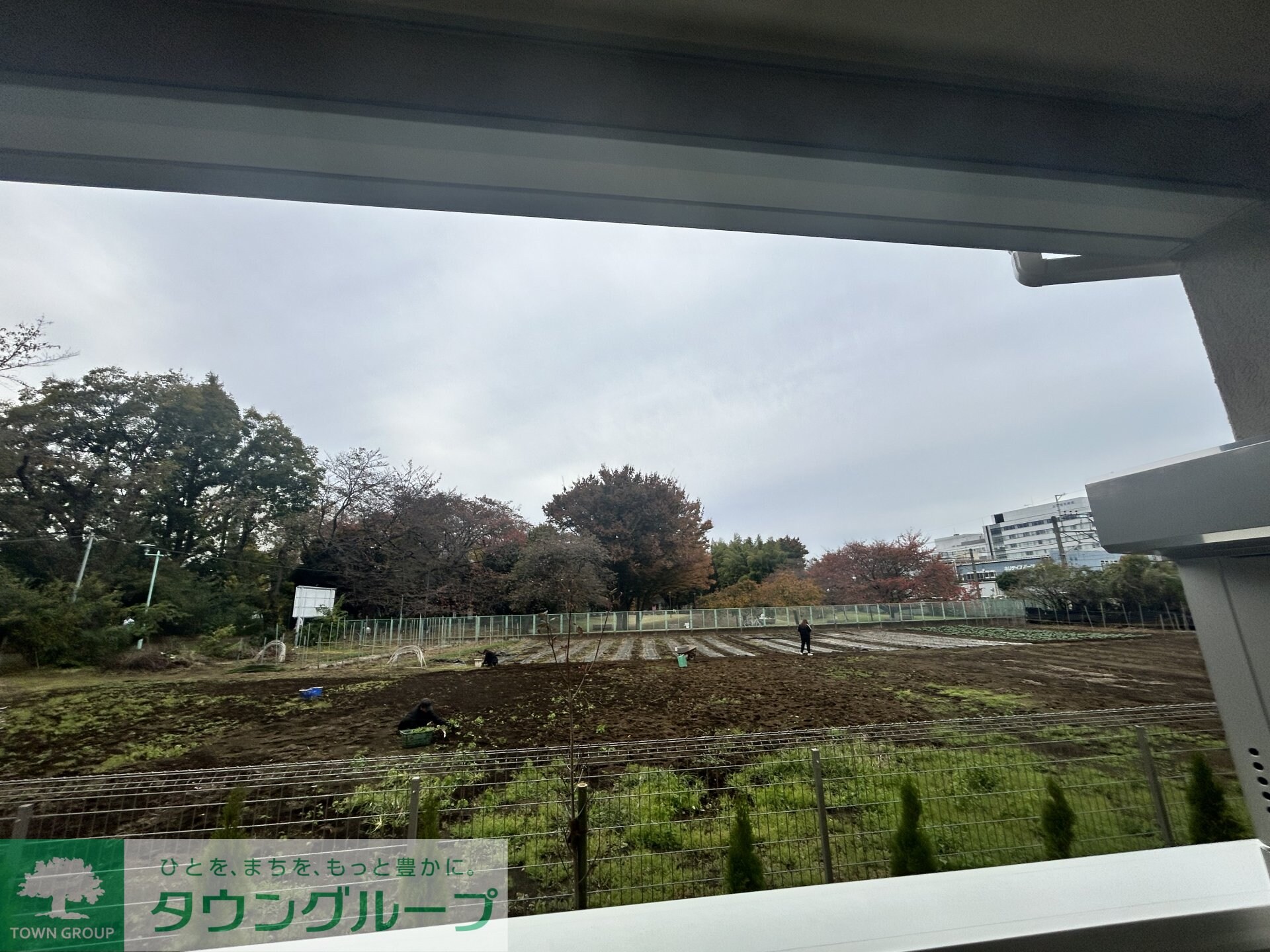 フェリーチェＭＩＹＡＢＩの物件内観写真