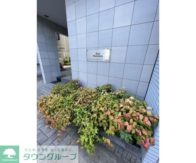 Ａｃｏ　Ｍａｎｓｉｏｎｓの物件内観写真