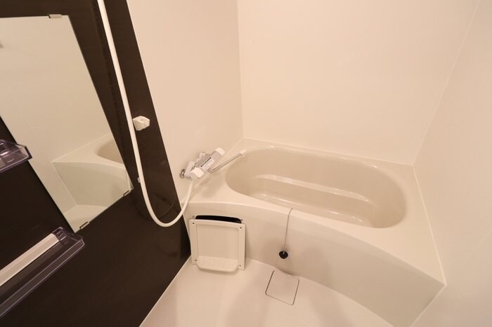 Ｌａｕｌｅａ越谷の物件内観写真