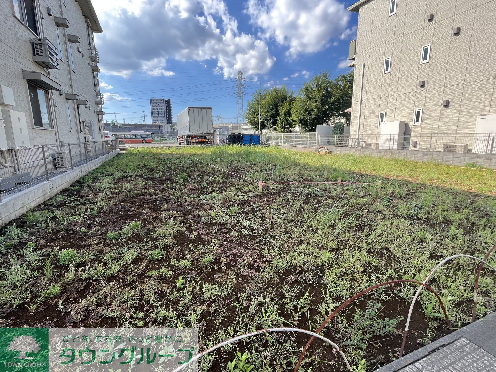 モンステラの物件内観写真