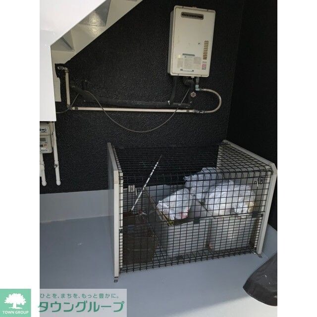 スターハイツの物件内観写真