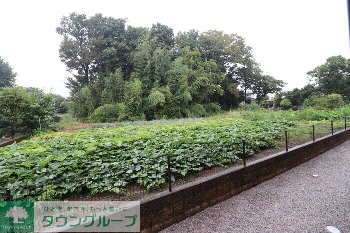 ＳＡＫＵＲＡ Ｈｉｌｌｓ　Ｂの物件内観写真