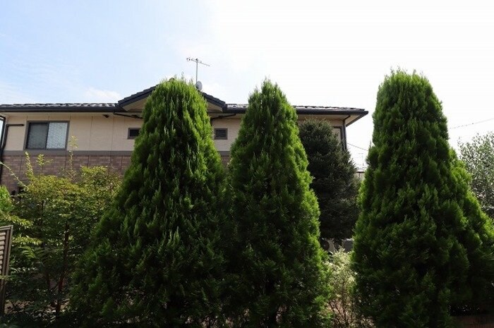 タウンスクエアの物件内観写真