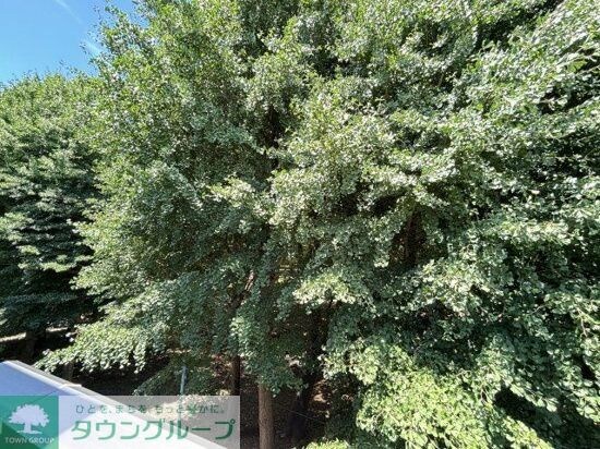 Ｐａｒｋ　ｓｉｄｅ　Ｎａｒｉｍｕｎｅの物件内観写真