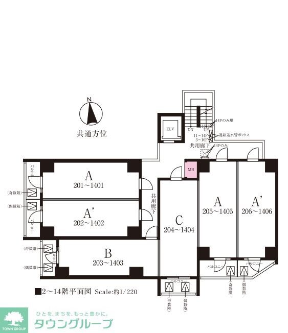 ＤＩＰＳ亀有駅前の物件内観写真