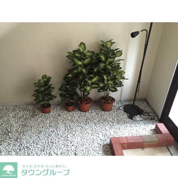 スタービルの物件内観写真