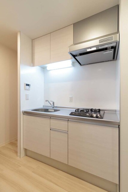 ルミレイス豊洲の物件内観写真