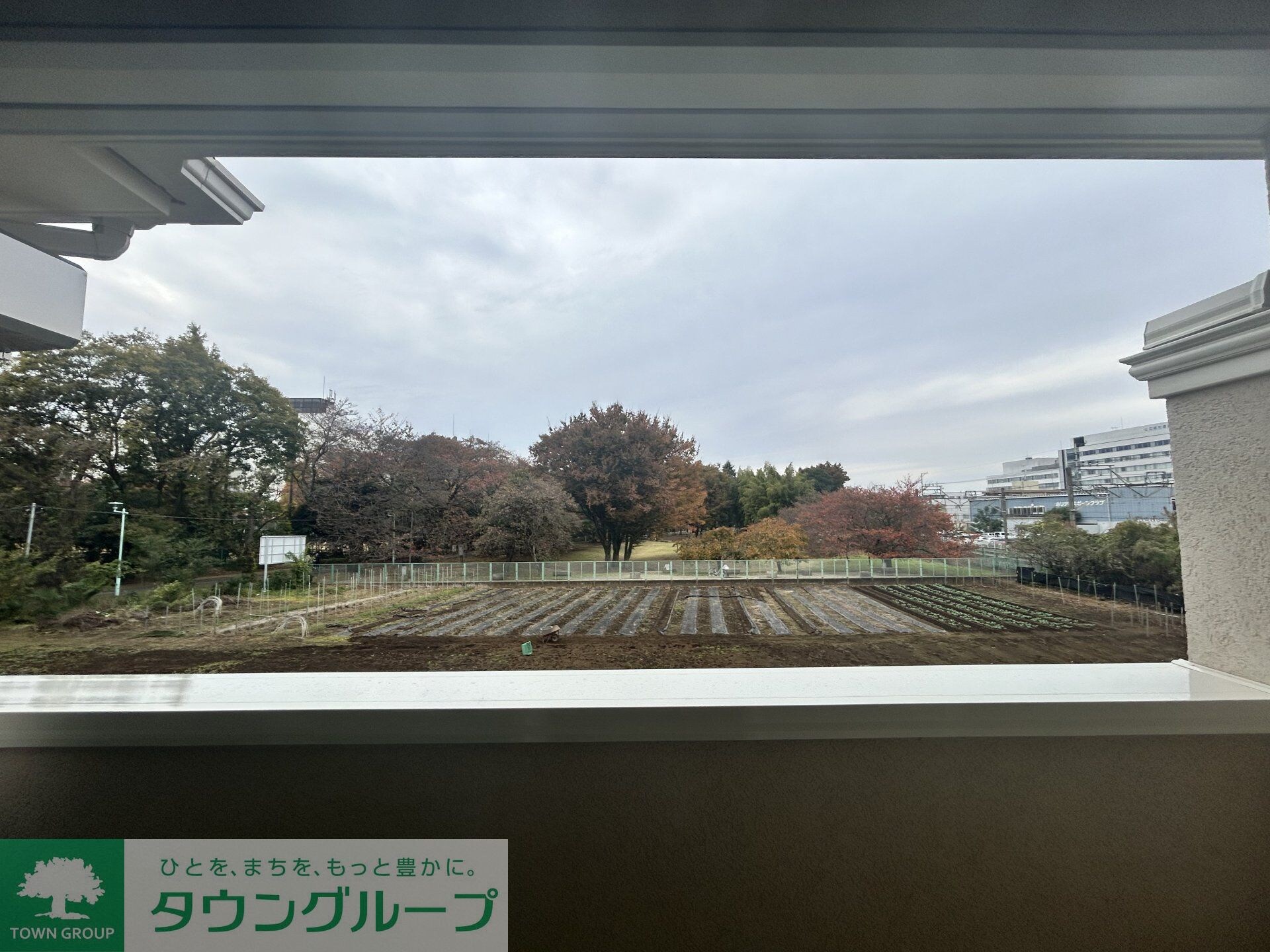 フェリーチェＭＩＹＡＢＩの物件内観写真