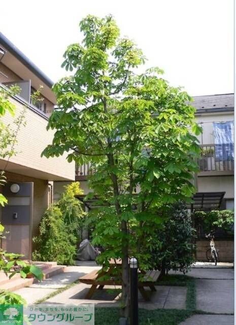 油面パークヴィレッジの物件内観写真