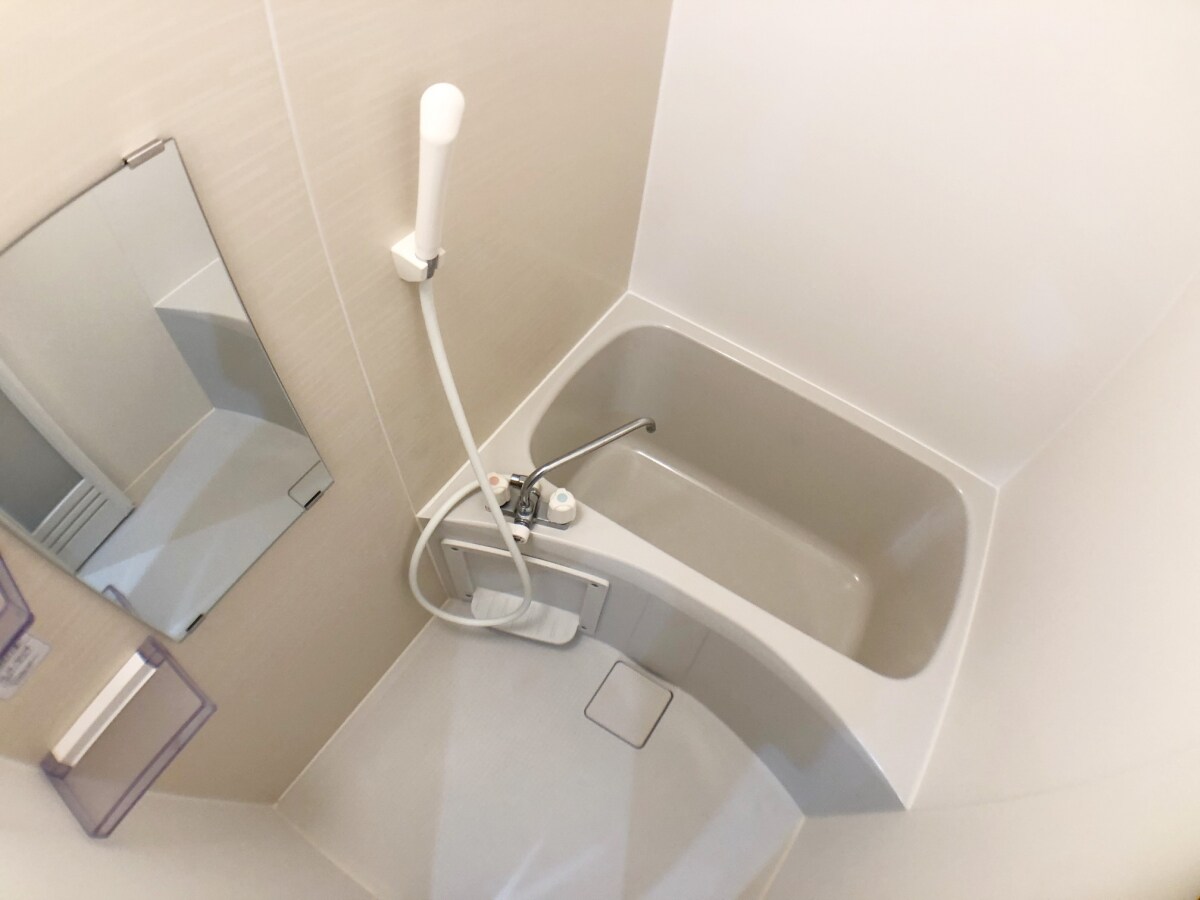 ピスタチオの物件内観写真