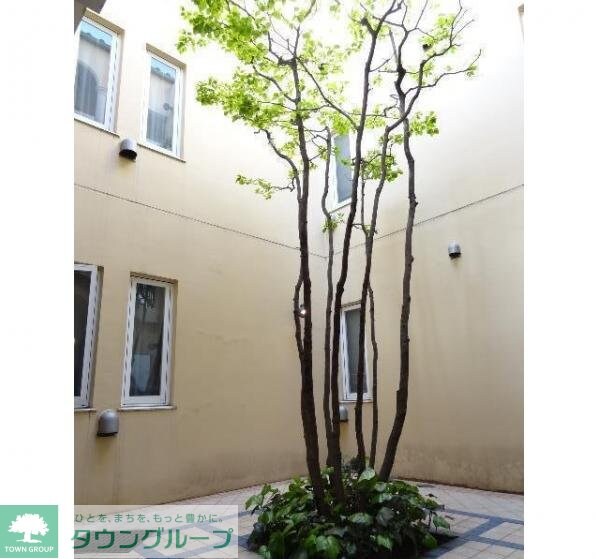 パティオ自由が丘の物件内観写真