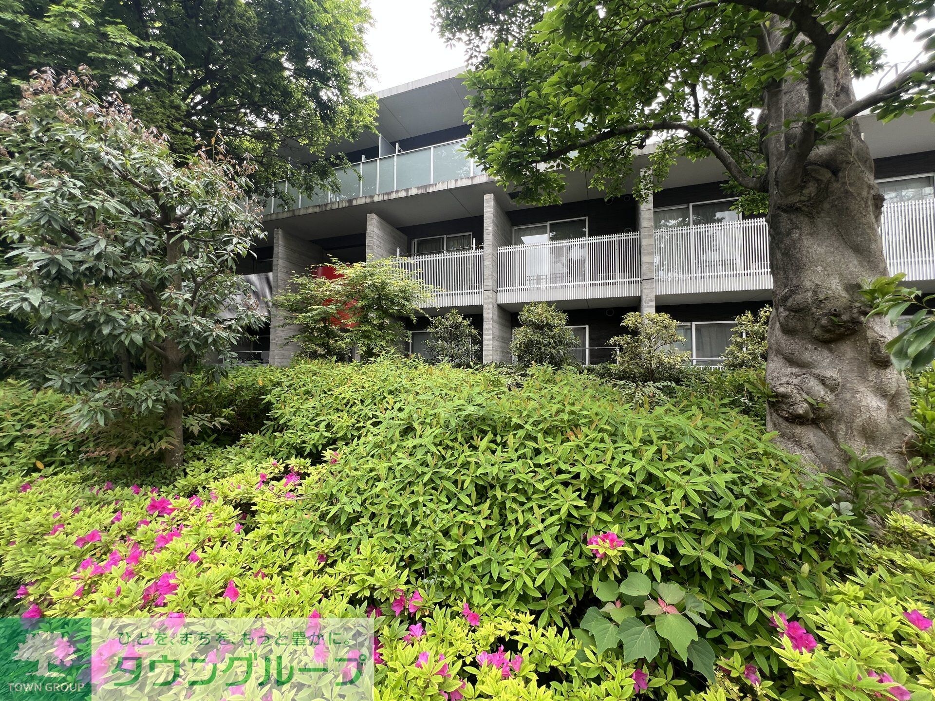 コンフォリア中落合の物件内観写真