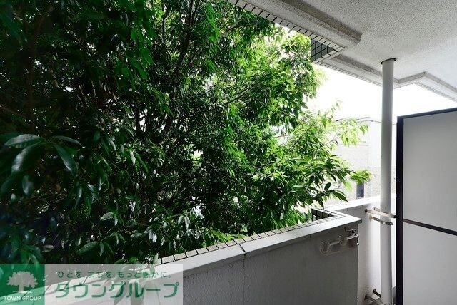 ラ・レジダンス・ド・エスパリエの物件内観写真