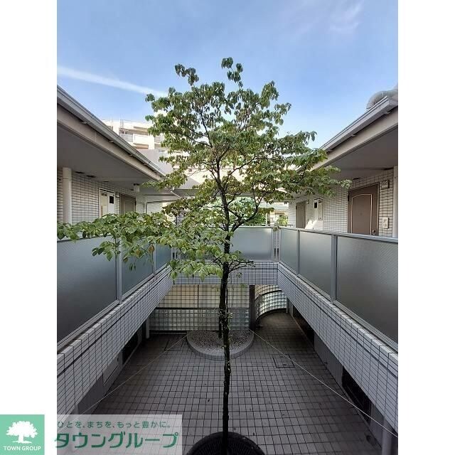 セルベコート野方の物件内観写真