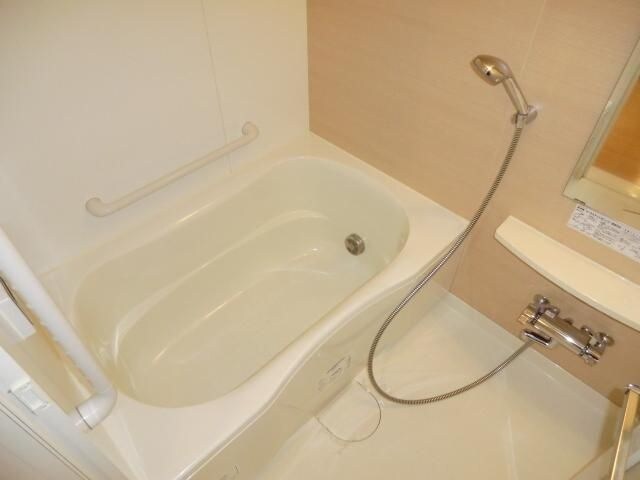 ロイヤルパークス新田の物件内観写真