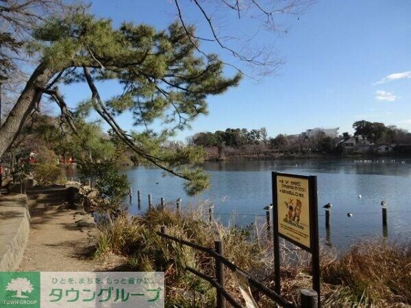 フレンシア洗足池の物件内観写真