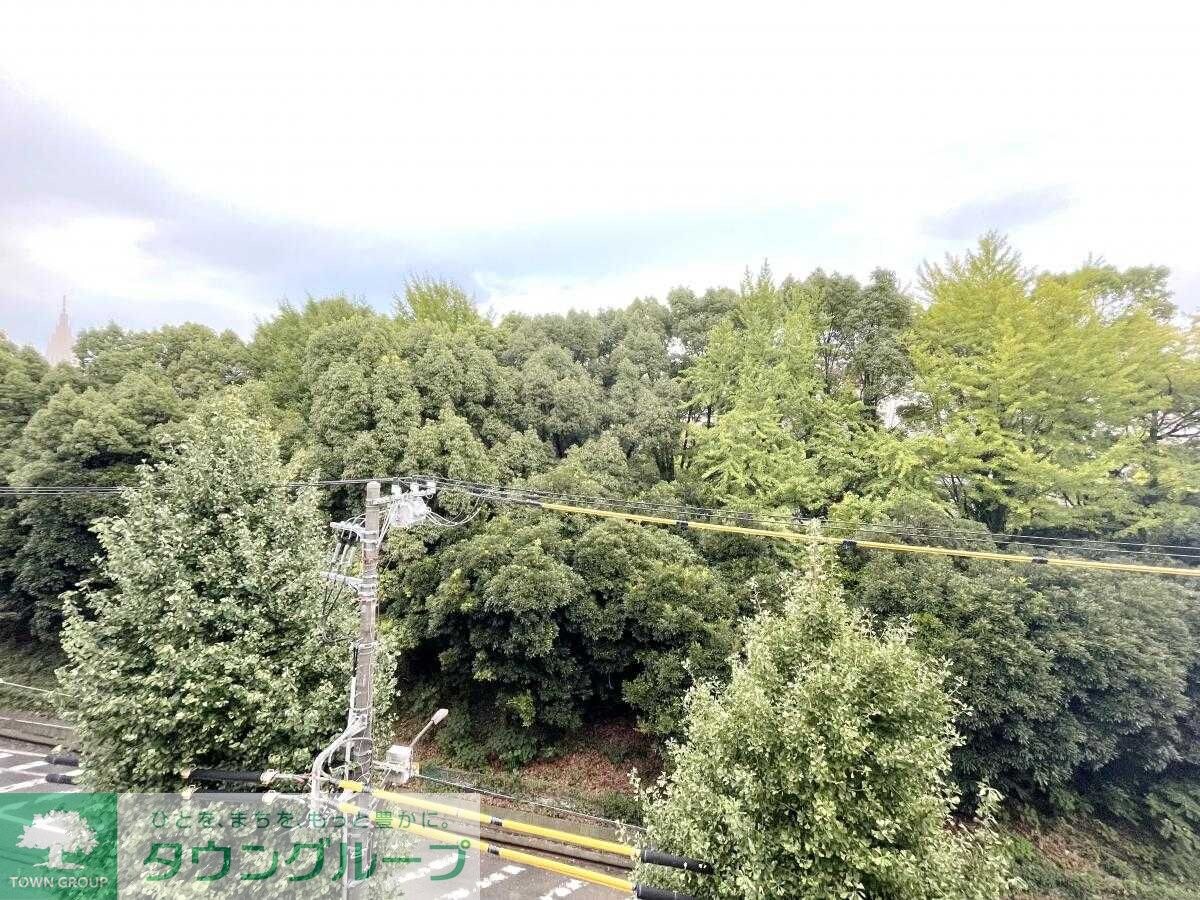 ザ・パークハビオSOHO代々木公園の物件内観写真