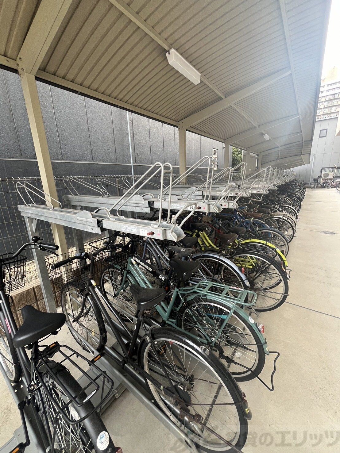 セレニテ江坂ルフレの物件内観写真