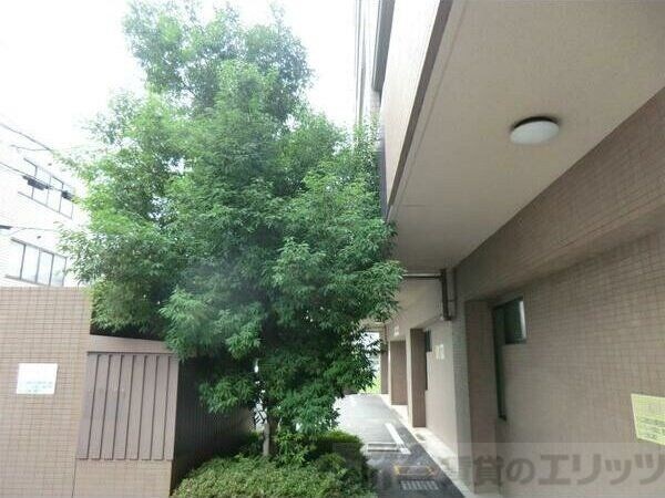 グレイス丸萬の物件内観写真