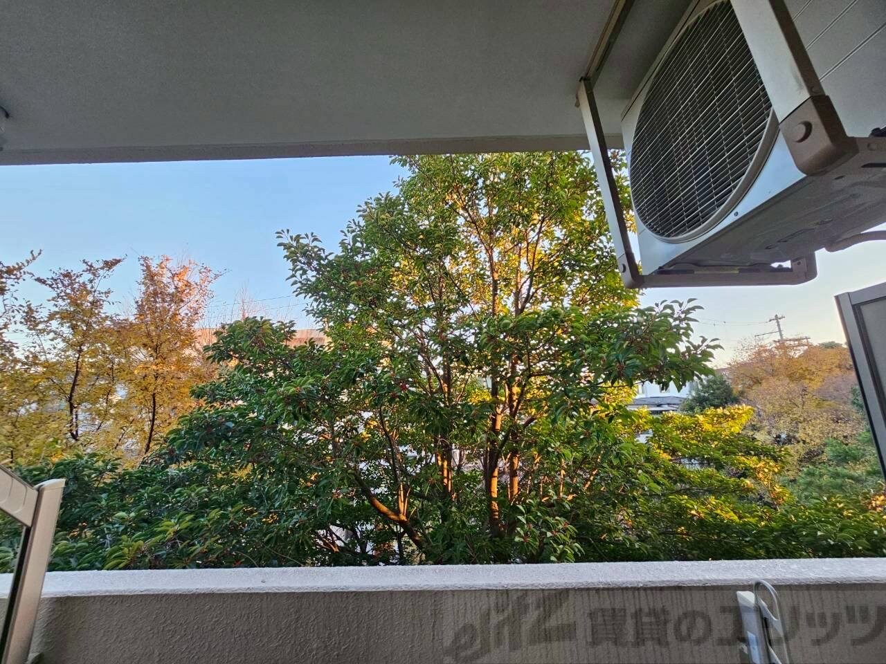 ラ・エスポワールの物件内観写真