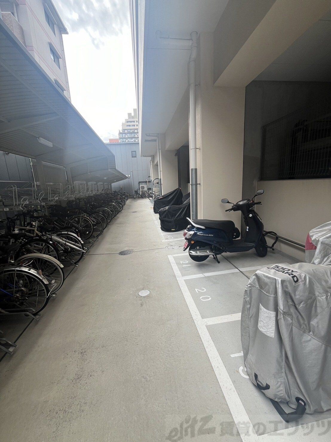 セレニテ江坂ルフレの物件内観写真