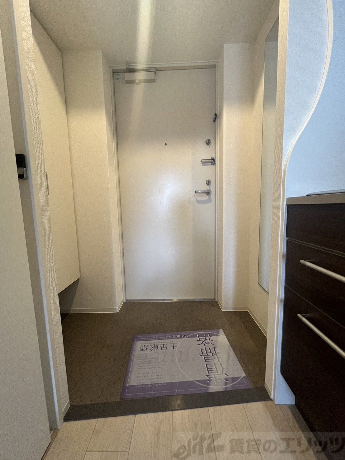 セレニテ江坂ルフレの物件内観写真