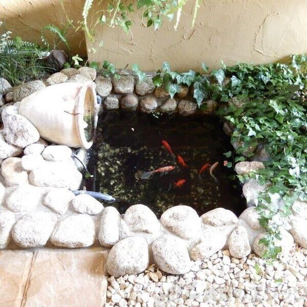 グレース黒崎の物件内観写真