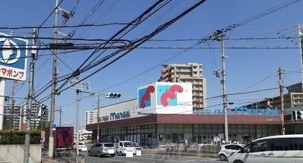 シンコ・コスモスの物件内観写真