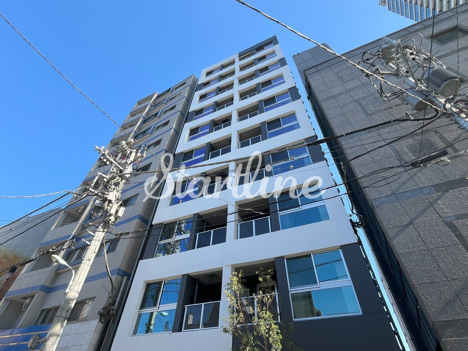 ザ・ライオンズフォーシア八丁堀の物件内観写真