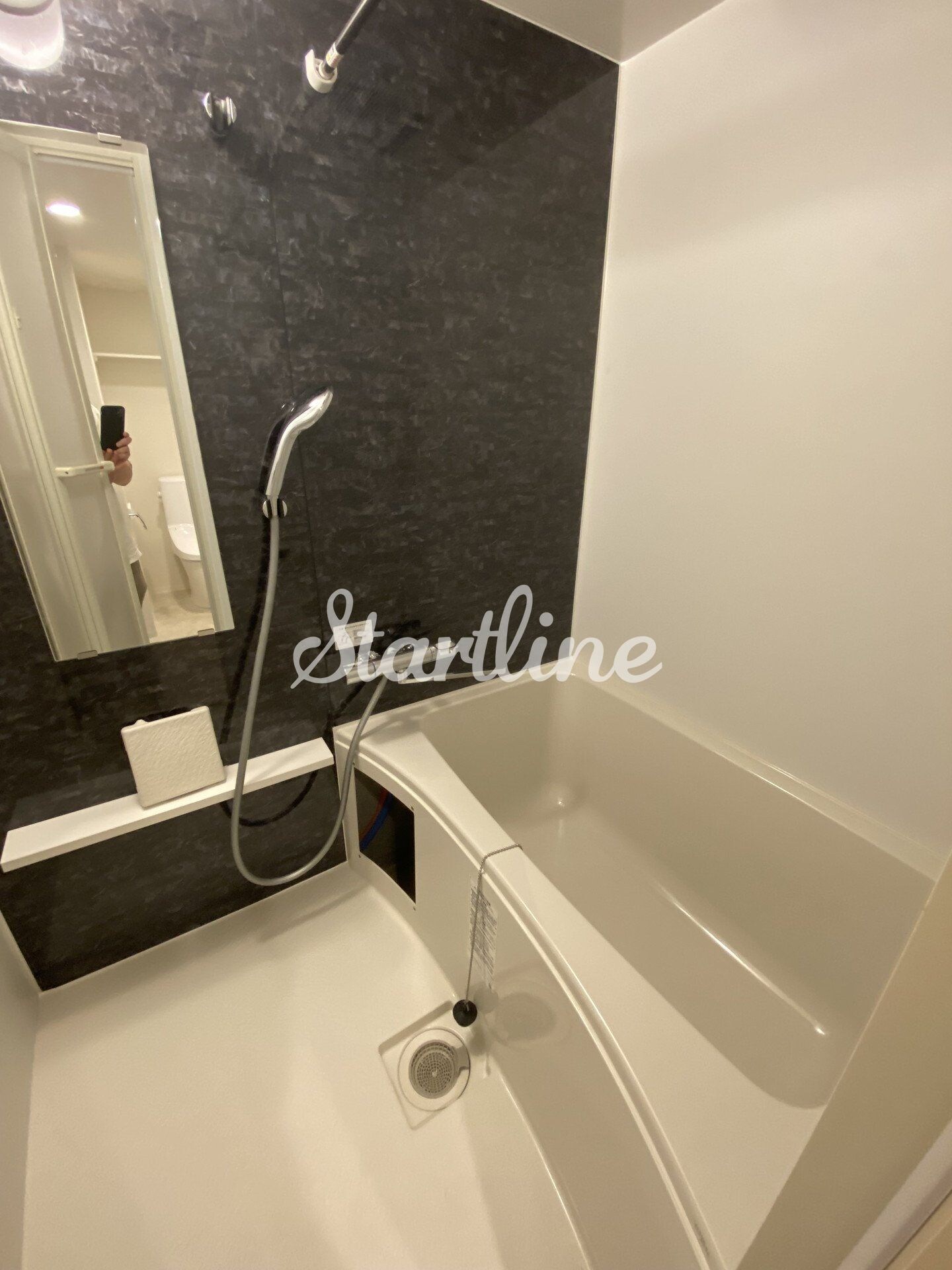 クリアル新富町（CREAL新富町）の物件内観写真