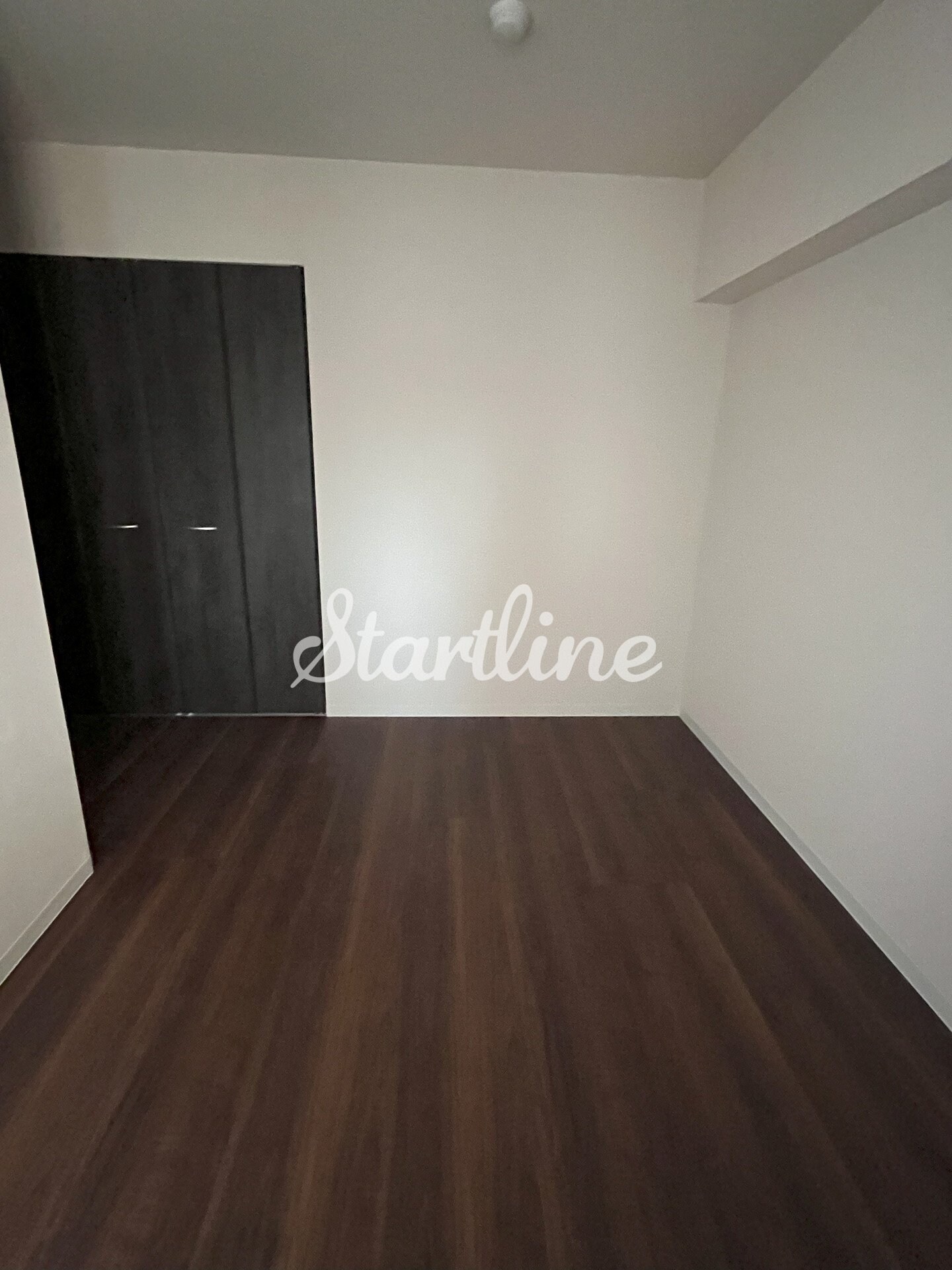 コンステレーション（CONSTELLATION)の物件内観写真