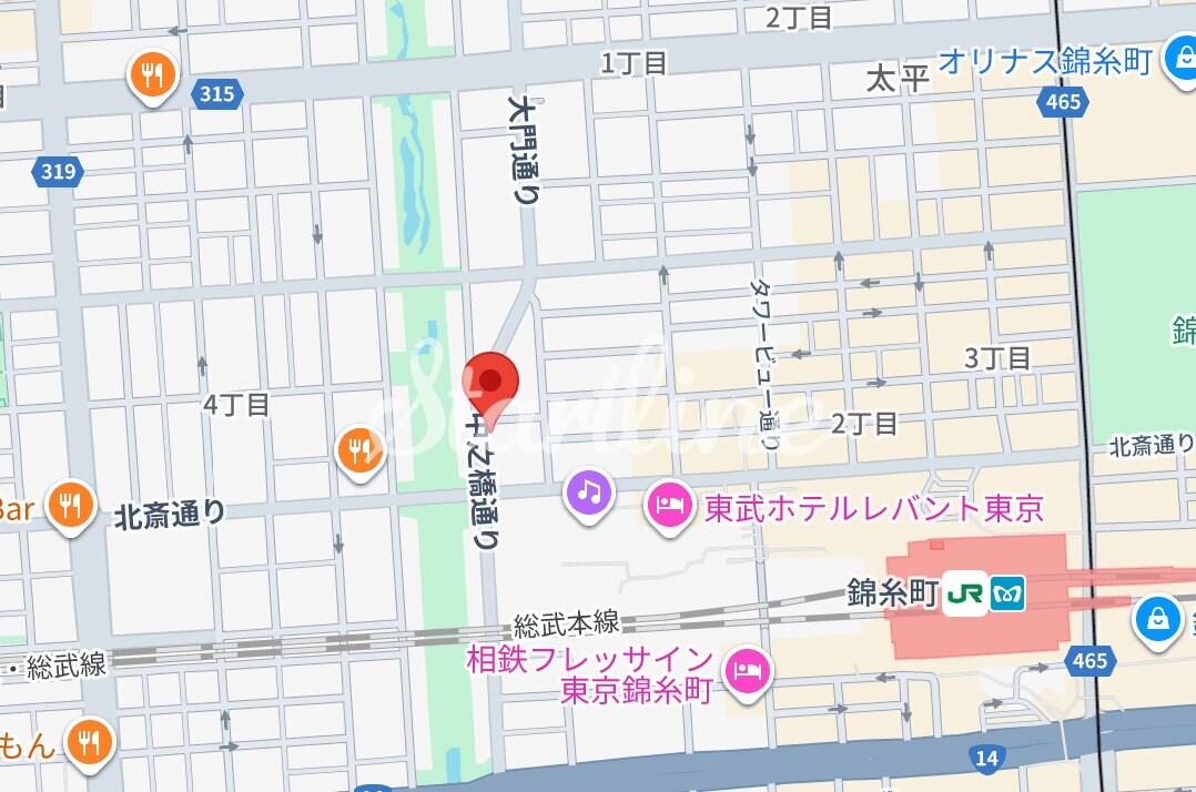 エスレジデンス錦糸町パークサイドの物件内観写真