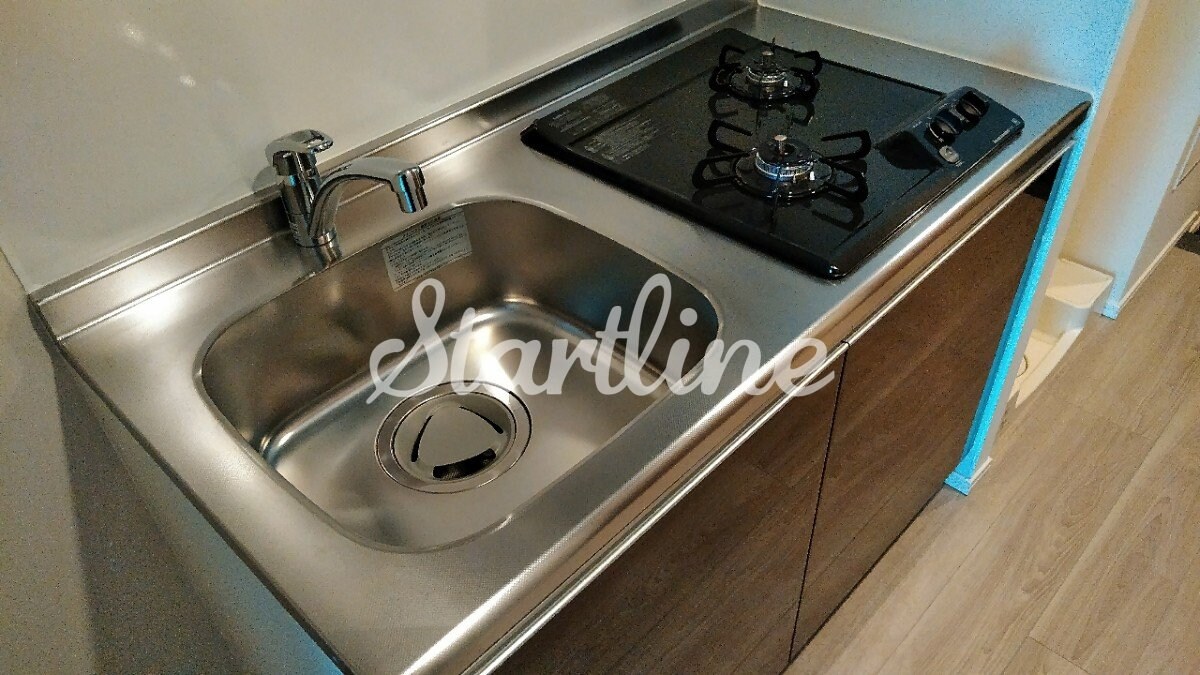 エスレジデンス錦糸町パークサイドの物件内観写真