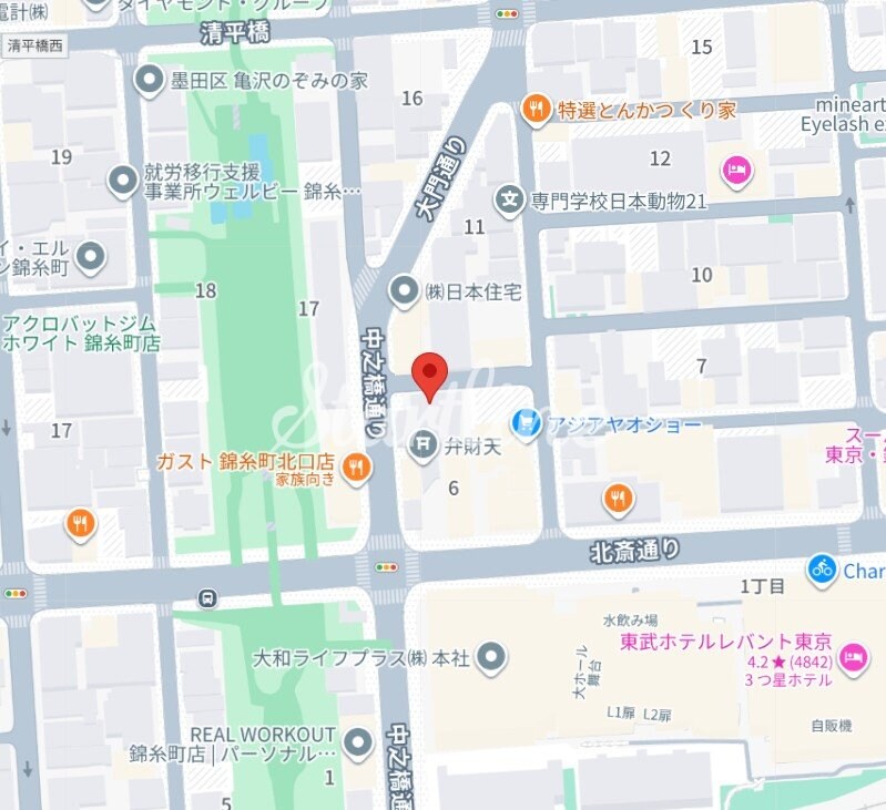 エスレジデンス錦糸町パークサイドの物件内観写真